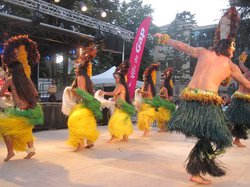 FESTIVAL DE FOLKLORE 2014