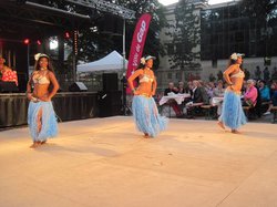 FESTIVAL DE FOLKLORE 2014